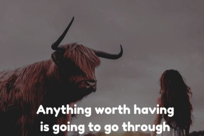 img 20191216 081019 6215487276721613387321