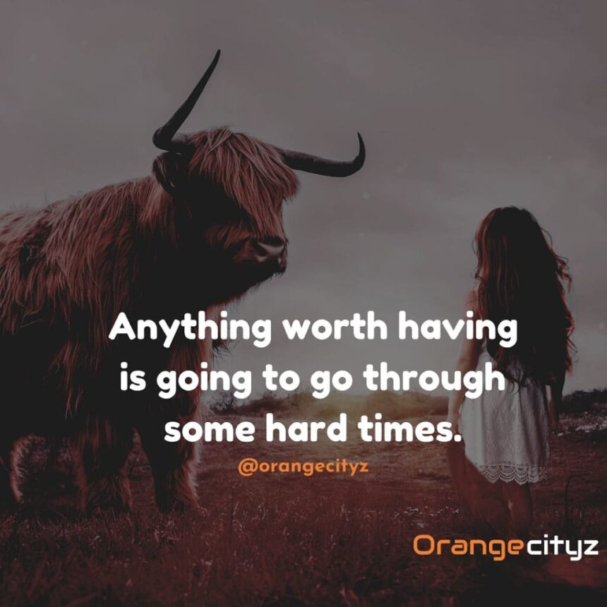 img 20191216 081019 6215487276721613387321