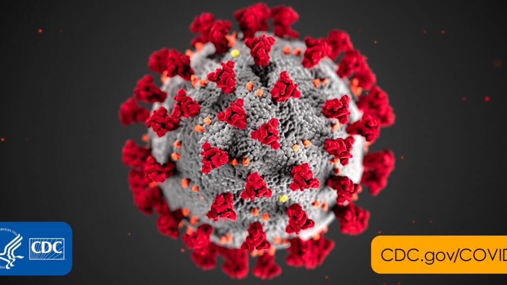 2019 coronavirus 1