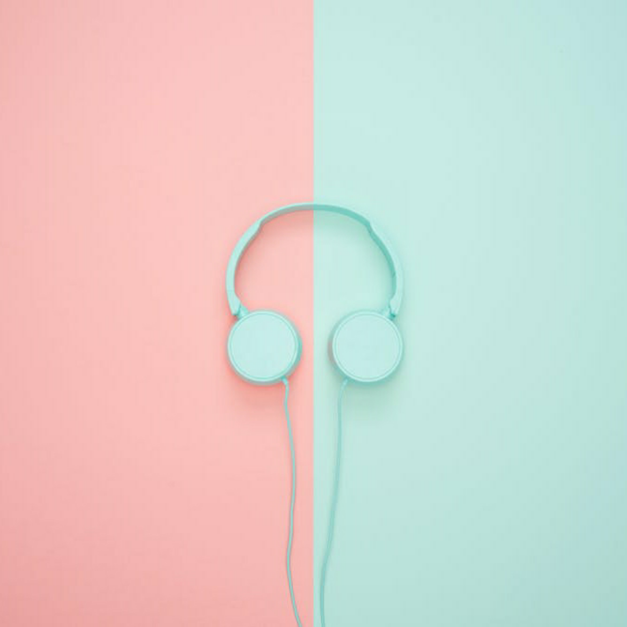 PhotoGrid Plus 1607611759543