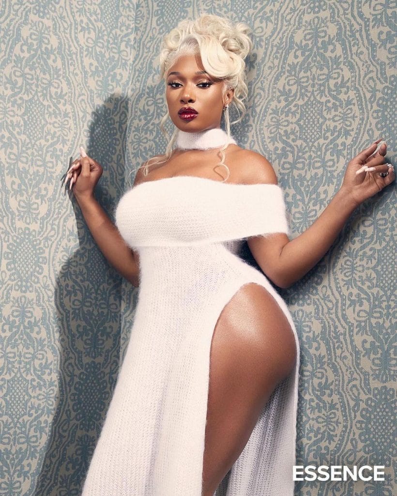 Megan Thee Stallion 5