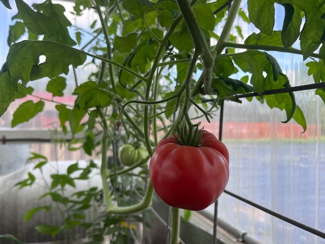 340009729 943748090315015 138810650499790972 n