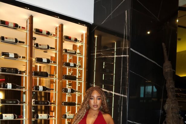 This Red Mini Dress Is Giving Modern Fashion Style With a Bold Twist