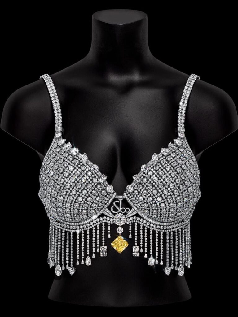 Kylie Jenner Fantasy Bra